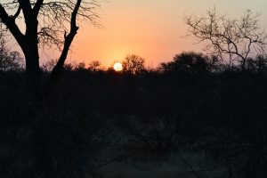 DSC_8042