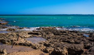 Dia 7 – Direction Playa Larga